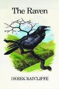 Raven