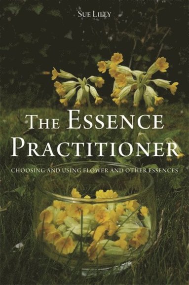 Sue Lilly - Essence Practitioner, E-bok
