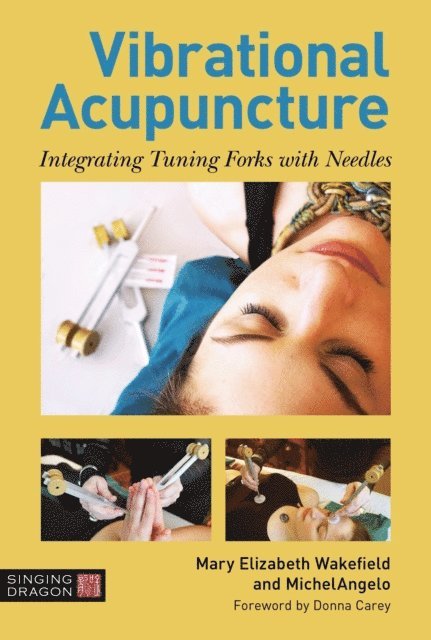 Mary Elizabeth Wakefield, MichelAngelo - Vibrational Acupuncture, E-bok