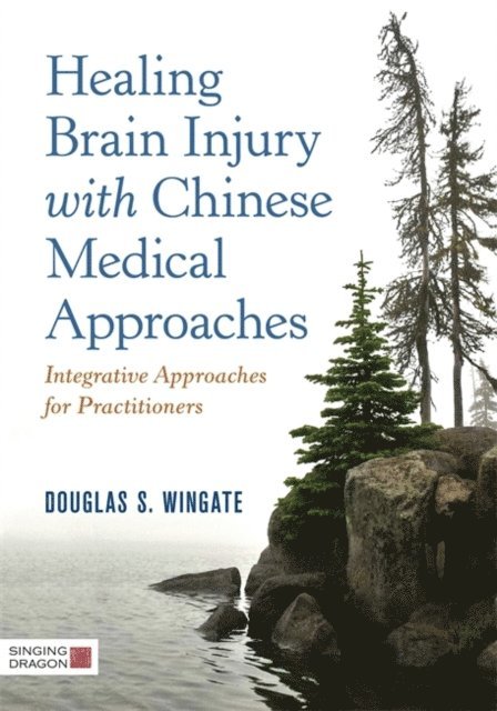 Douglas S. Wingate - Healing Brain Injury with Chinese Medical Approaches, E-bok