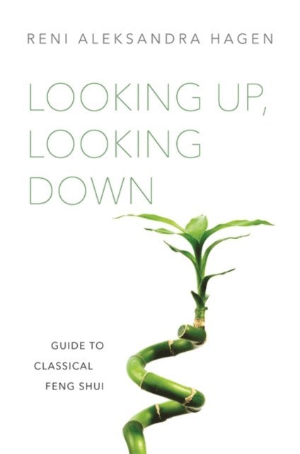 Reni Aleksandra Hagen - Looking Up, Looking Down, E-bok