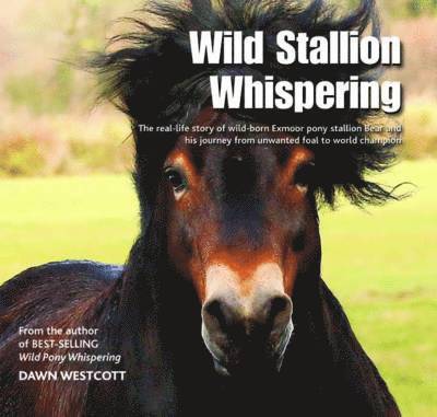 Dawn Westcott - Wild Stallion Whispering, Inbunden. Tillgänglighet: Lägg i varukorg