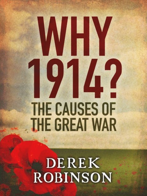 Derek Robinson - Why 1914?, E-bok