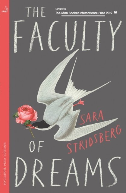 Sara Stridsberg - Faculty of Dreams, E-bok