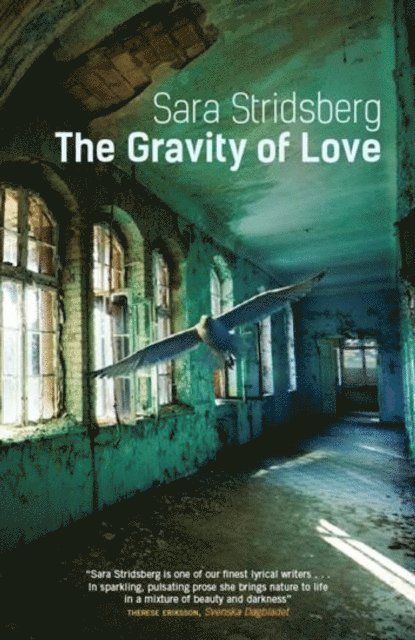 Sara Stridsberg - Gravity of Love, E-bok