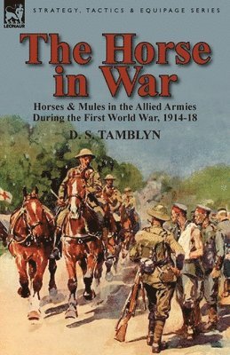 Horse in War