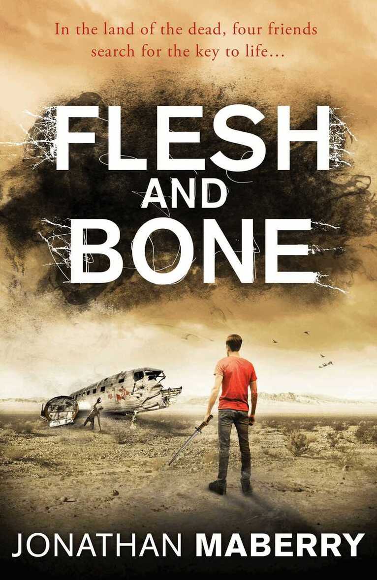 Jonathan Maberry - Flesh and Bone, E-bok