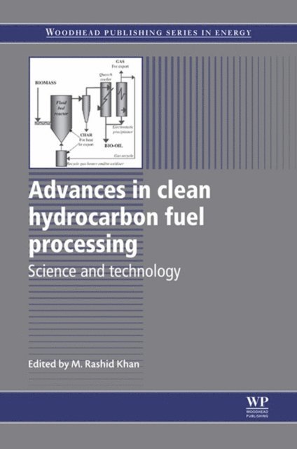 M. Rashid Khan - Advances in Clean Hydrocarbon Fuel Processing, E-bok