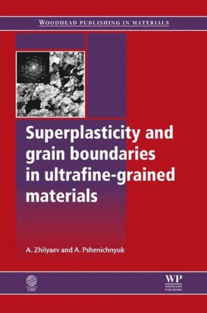 Anatoly I. Pshenichnyuk, Peter M. Burgess - Superplasticity and Grain Boundaries in Ultrafine-Grained Materials, E-bok