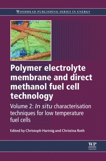 Christina Roth, Christoph Hartnig - Polymer Electrolyte Membrane and Direct Methanol Fuel Cell Technology, E-bok