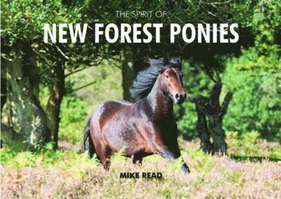 Mike Read - Spirit of New Forest Ponies, Inbunden