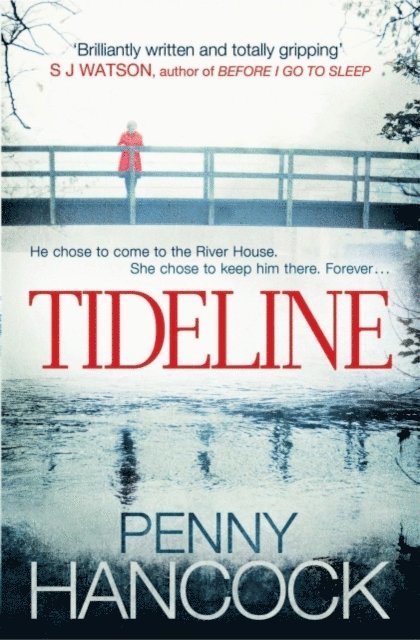 Penny Hancock - Tideline, E-bok