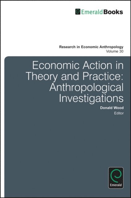 Donald C. Wood - Economic Action in Theory and Practice, E-bok