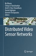 Distributed Video Sensor Networks
