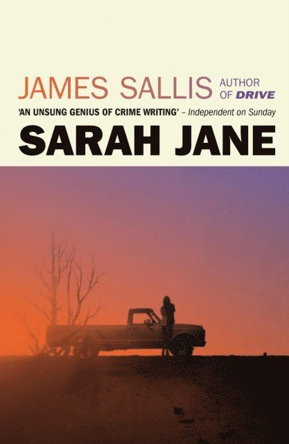 James Sallis - Sarah Jane, E-bok