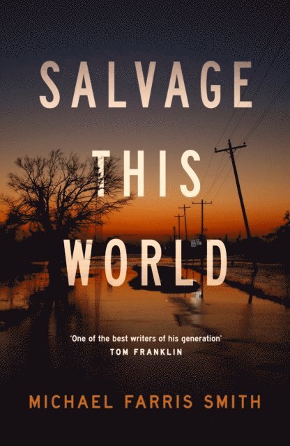 Michael Farris Smith - Salvage This World, E-bok