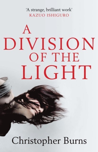 Christopher Burns - Division of the Light, E-bok