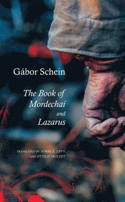 Gabor Schein, Adam Z. Levy - Book of Mordechai and Lazarus, Inbunden