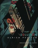 Ulrich Peltzer - Part of the Solution, Häftad