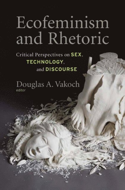 Douglas A. Vakoch - Ecofeminism and Rhetoric, E-bok