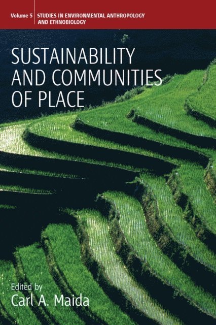 Carl A. Maida - Sustainability and Communities of Place, E-bok