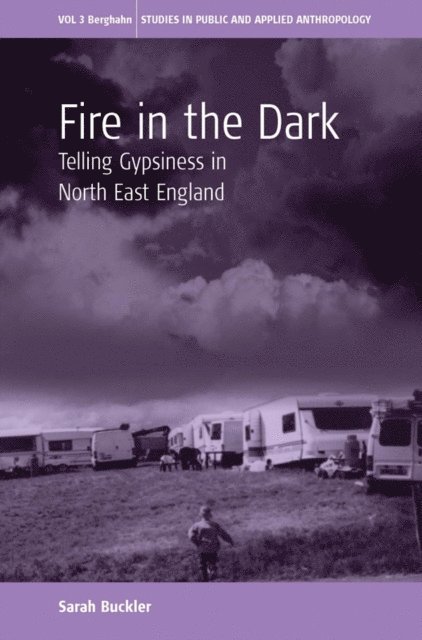 Sarah (Sal) Buckler - Fire in the Dark, E-bok