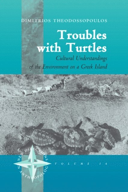 Dimitris Theodossopoulos - Troubles with Turtles, E-bok