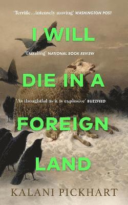 Kalani Pickhart - I Will Die in a Foreign Land, Inbunden