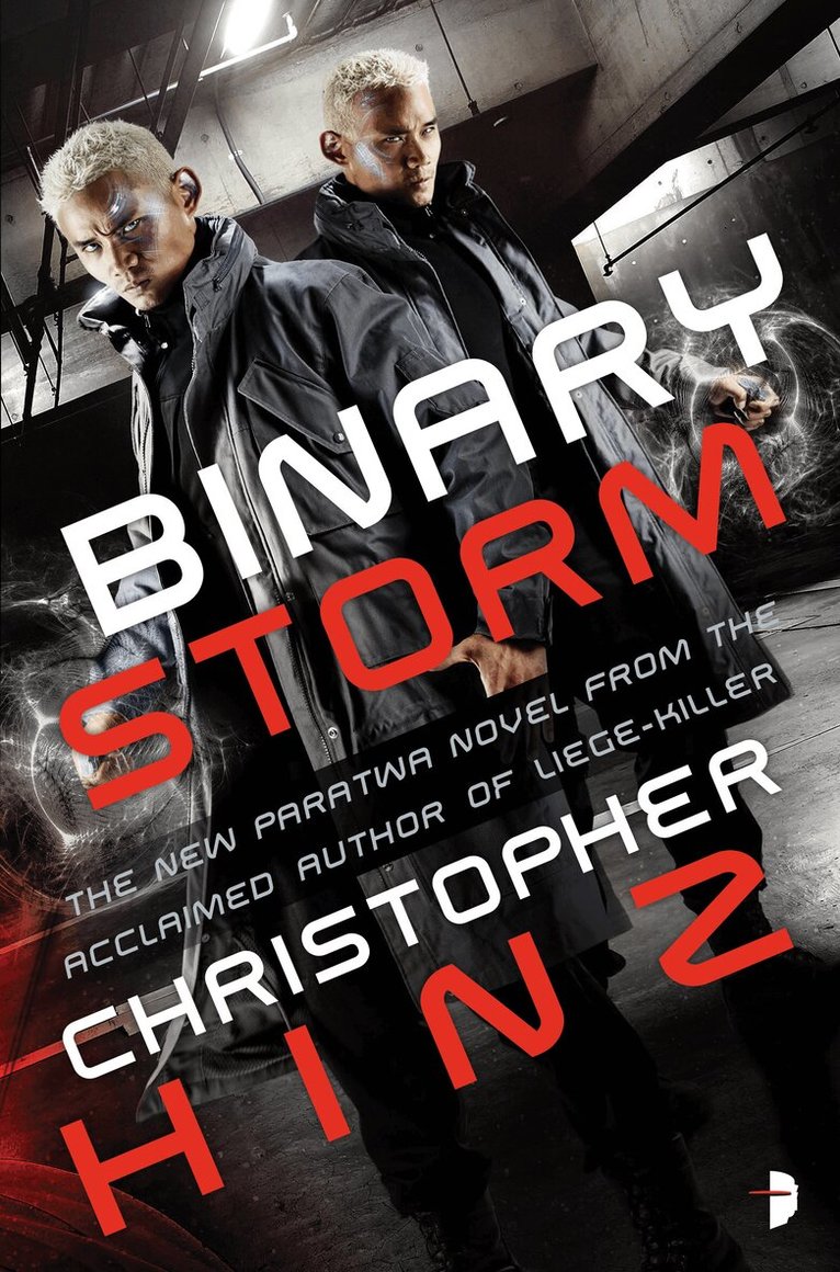 Christopher Hinz - Binary Storm, Häftad