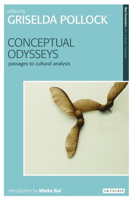 Griselda Pollock - Conceptual Odysseys, E-bok