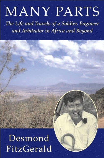 Desmond FitzGerald - Many Parts, E-bok