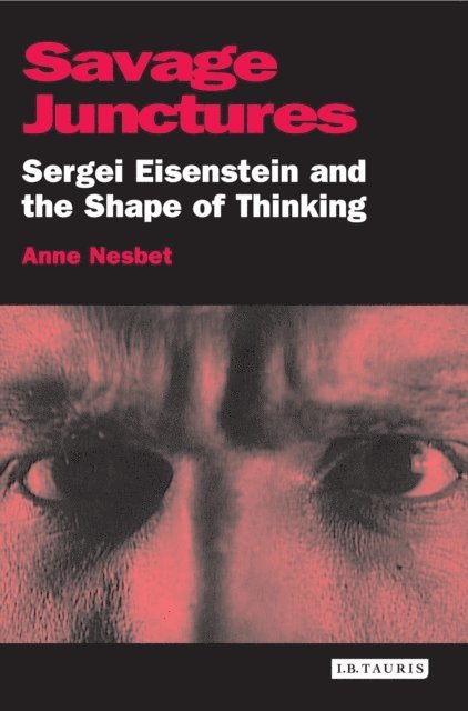 Anne Nesbet - Savage Junctures, E-bok