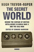 Secret World