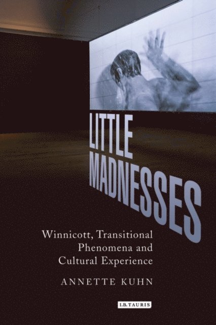 Annette Kuhn - Little Madnesses, E-bok