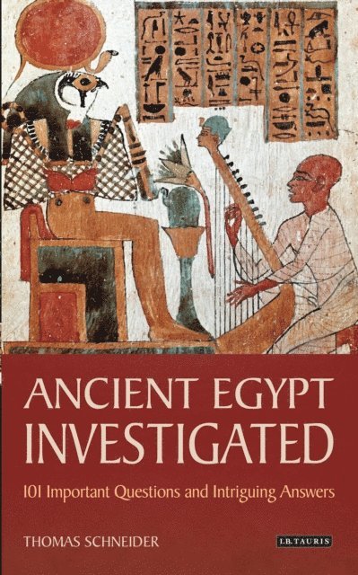 Thomas Schneider - Ancient Egypt Investigated, E-bok