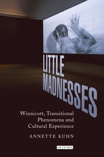 Annette Kuhn - Little Madnesses, E-bok