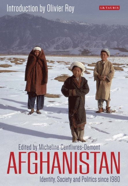 Micheline Centlivres-Demont - Afghanistan, E-bok