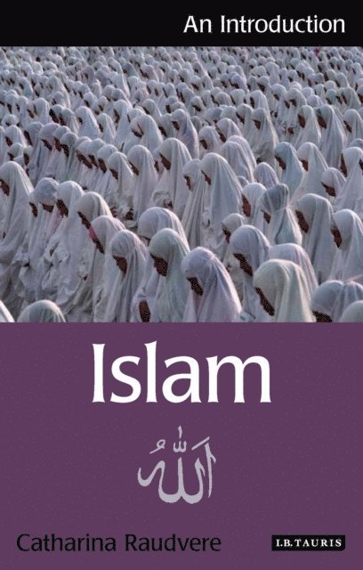 Catharina Raudvere - Islam, E-bok