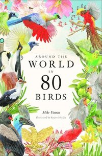 Around the World in 80 Birds