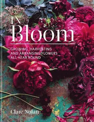 Clare Nolan - In Bloom, Inbunden. Tillgänglighet: Lägg i varukorg