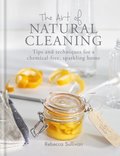 Art of Natural Cleaning