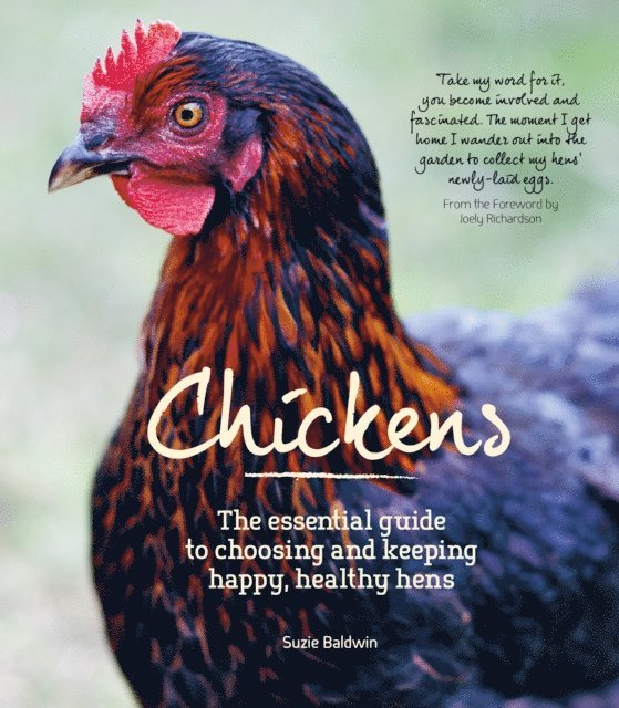 Graham Page, Suzie Baldwin - Raising Chickens, E-bok