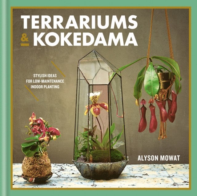 Terrariums & Kokedama