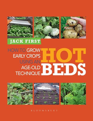 Hot Beds by Jack First