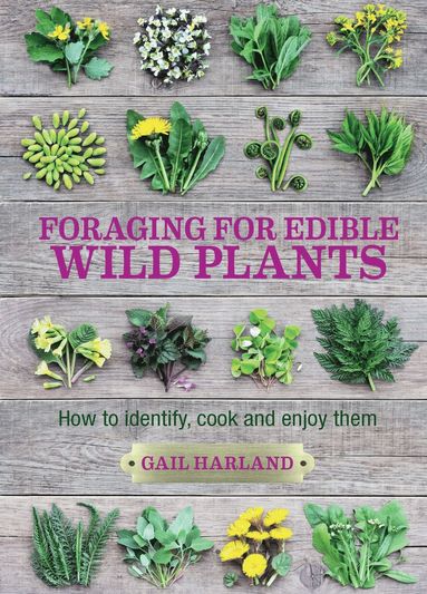 Foraging for Edible Wild Plants av Gail Harland