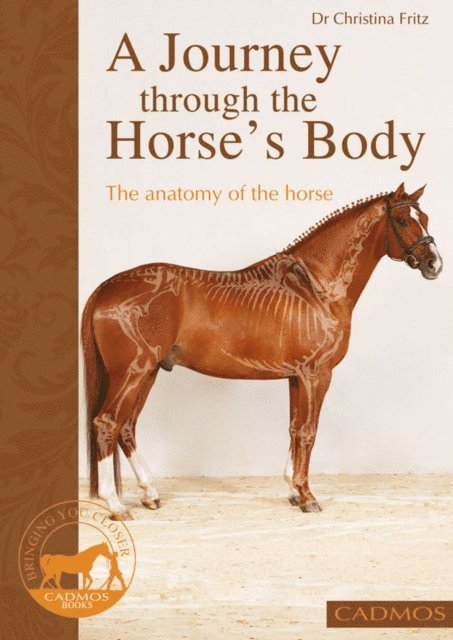 Dr. Christina Fritz - journey through the horse's body, E-bok