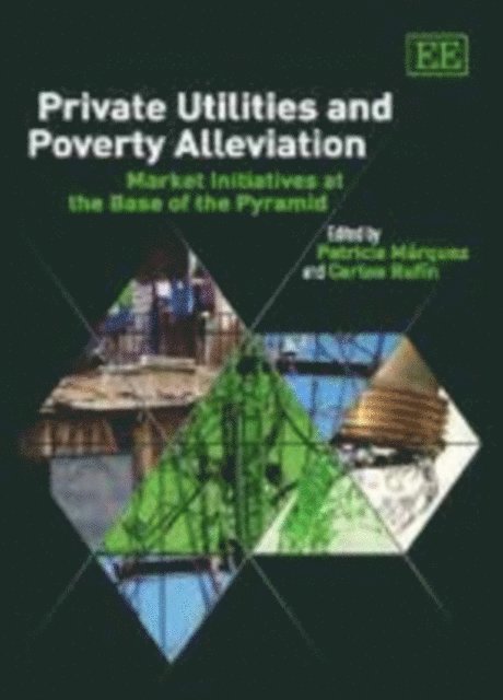 Carlos Rufin, Patricia Marquez - Private Utilities and Poverty Alleviation, E-bok