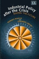 Patrizio Bianchi, Sandrine Labory - Industrial Policy after the Crisis, Häftad. Tillgänglighet: Tillfälligt slut