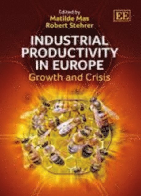 Robert Stehrer, Matilde Mas - Industrial Productivity in Europe, E-bok
