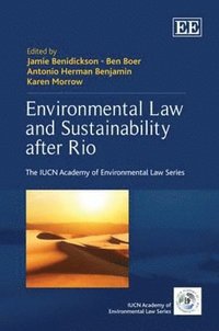 Environmental Law and Sustainability after Rio